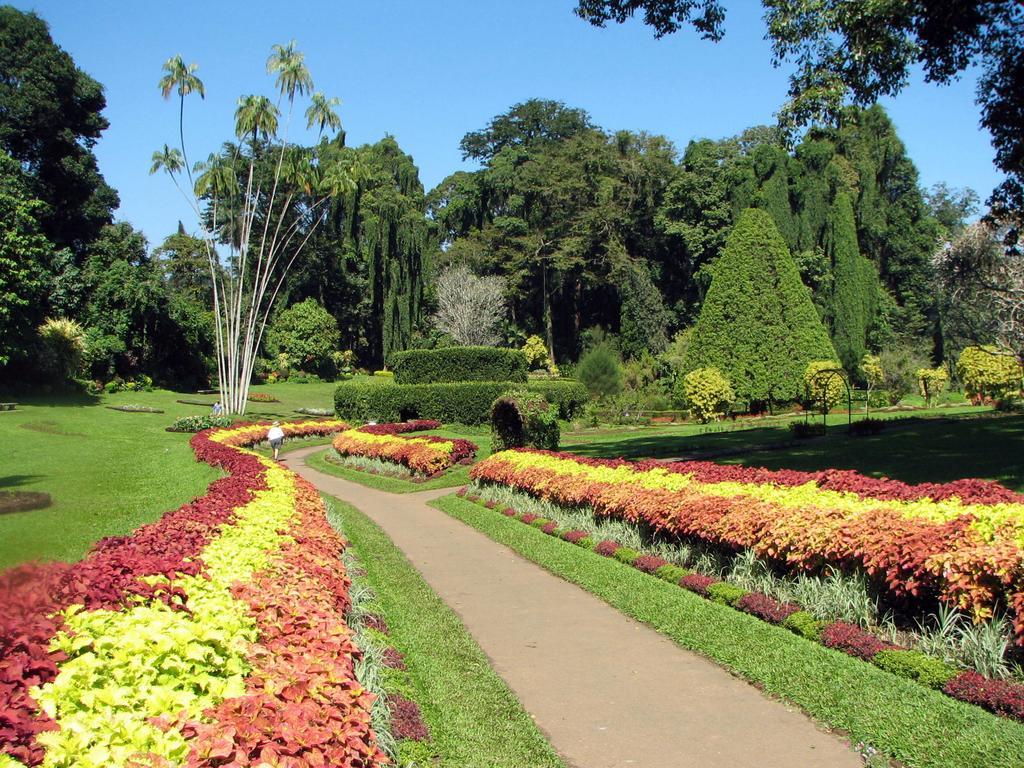 Kandy View Villa Eksteriør billede